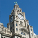 French Course Liverpool