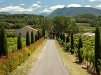 Top 5 French and activity courses in France