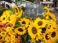 Top 10 things to do in Aix en Provence