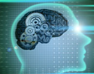 Image of Speaking a second language said to slow the brain’s decline with age