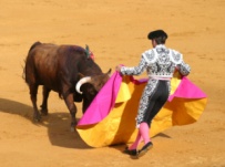San Isidro - Party in Madrid