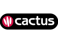 Cactus sponsors the Italian Language School of the Year Award at the 2011 LTM Star Awards