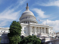 Why learn English in Washington DC?