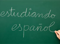 Cactus staff get linguistic: practising what we preach