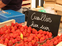 Learning French in Normandy: won over by Rouen