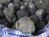 Image of Truffles (Tartufi)