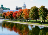 Image of Top 5 French course destinations this autumn