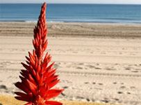 10 reasons to study Spanish in Murcia