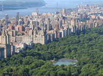 Image of German evening course in New York: Cactus staff experience