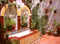 Top 5 spring festivals in Spain