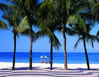 Image of Five Good Reasons to do your CELTA in the Sun