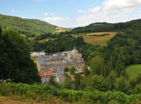 Learn Spanish while walking the legendary Camino de Santiago