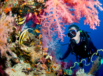 Top 10 language and activity courses for the winter months