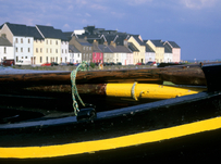Studying in Ireland: Galway Oyster Festival