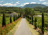 Ways to spend a career-break in France