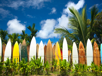 Image of Useful surfing vocabulary translated for you!