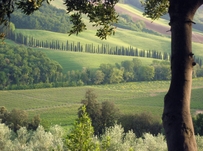 Learn Italian away from the tourist trail this year