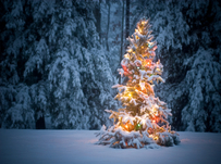 How to say ‘Happy Christmas’ in 20 languages
