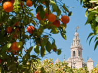 Who takes foreign language courses abroad?