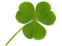 St Patrick’s Day in Ireland