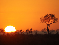 What’s the real South Africa?