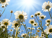 Language learning inspiration for the summer