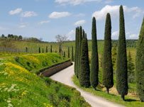 Italian Language Guide (3): Ways to Learn Italian