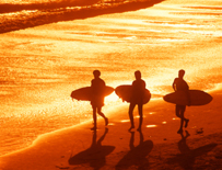 Language and surfing courses – a fun and effective way to learn