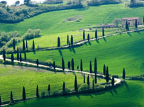 Where can I learn Italian in Tuscany?