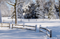How To Say ‘It’s Cold’ in 10 Languages